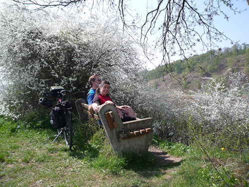 Fruktpaus vid Weser med blommande träd och buskar 